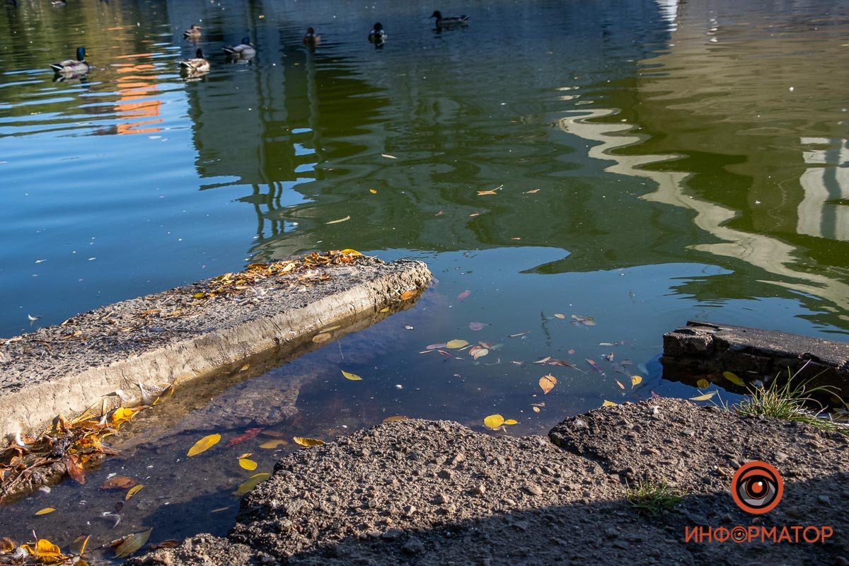 Вышла за пределы Вышла за пределы