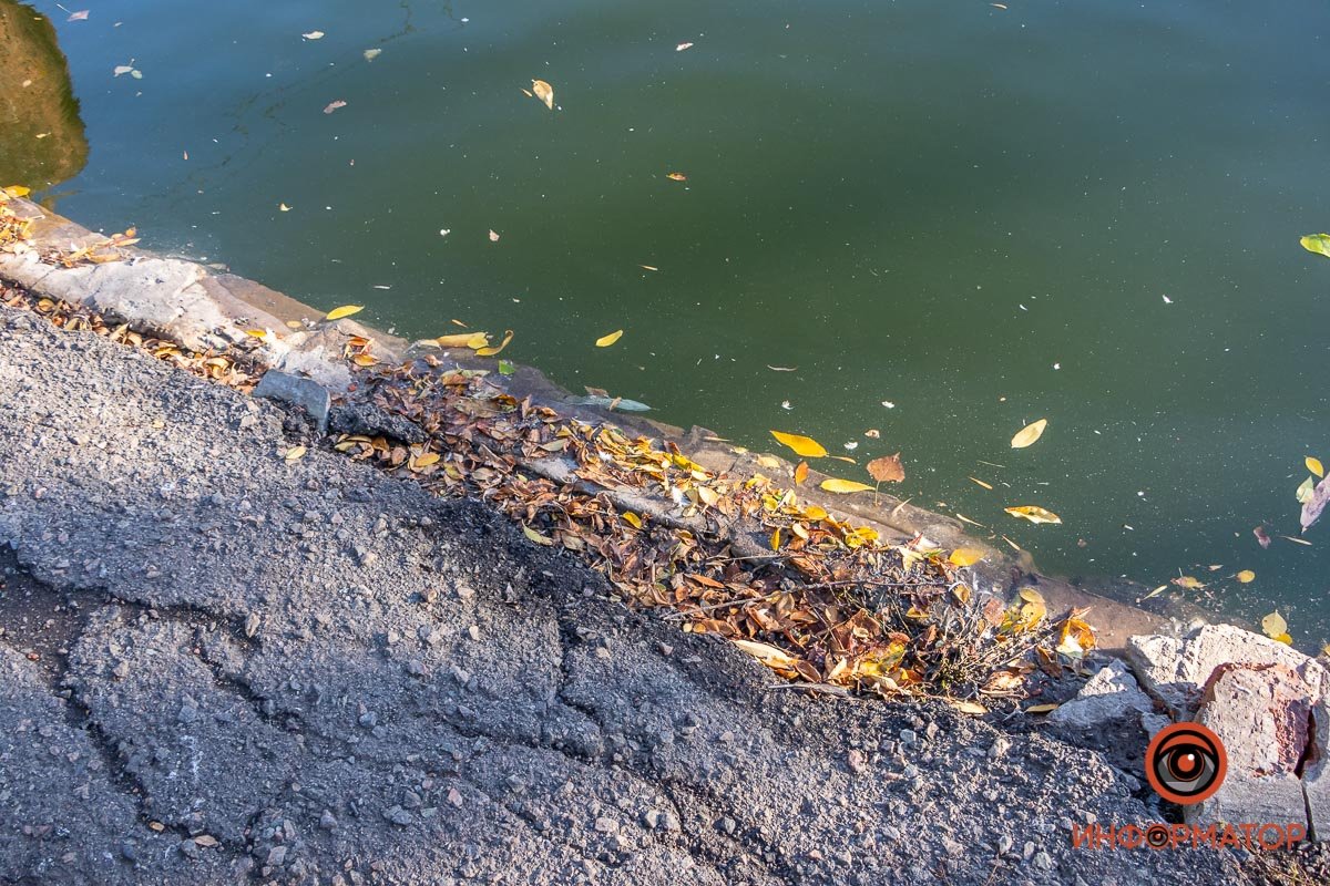 В парке планируют реконструкцию В парке планируют реконструкцию