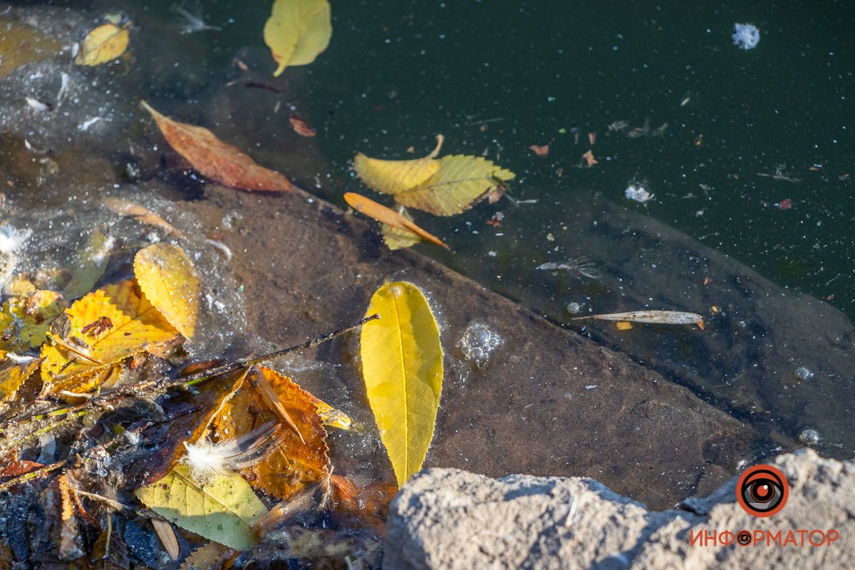 Пока без серьезных последствий Пока без серьезных последствий