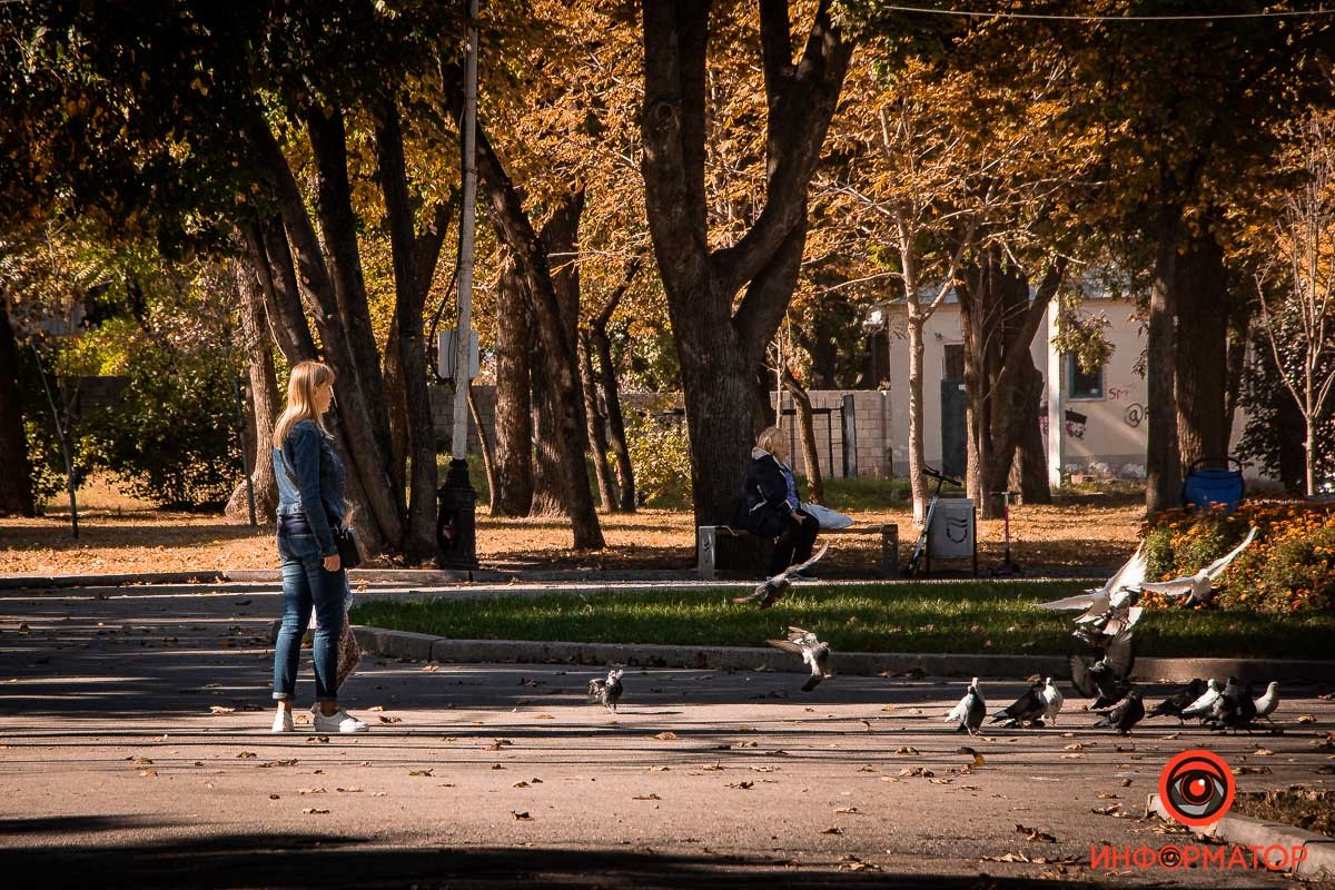Можно покормить голубей Можно покормить голубей