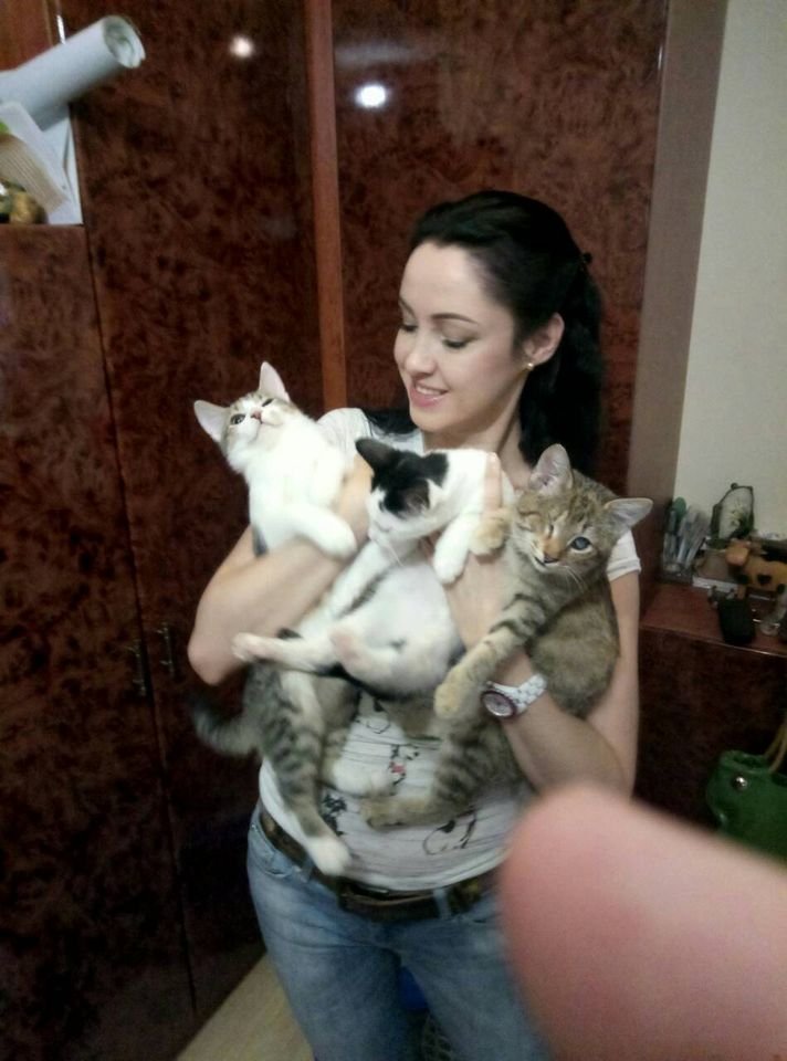 Много котиков не бывает