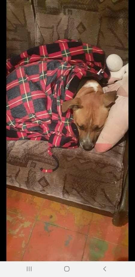 Малыш хочет домой Малыш хочет домой