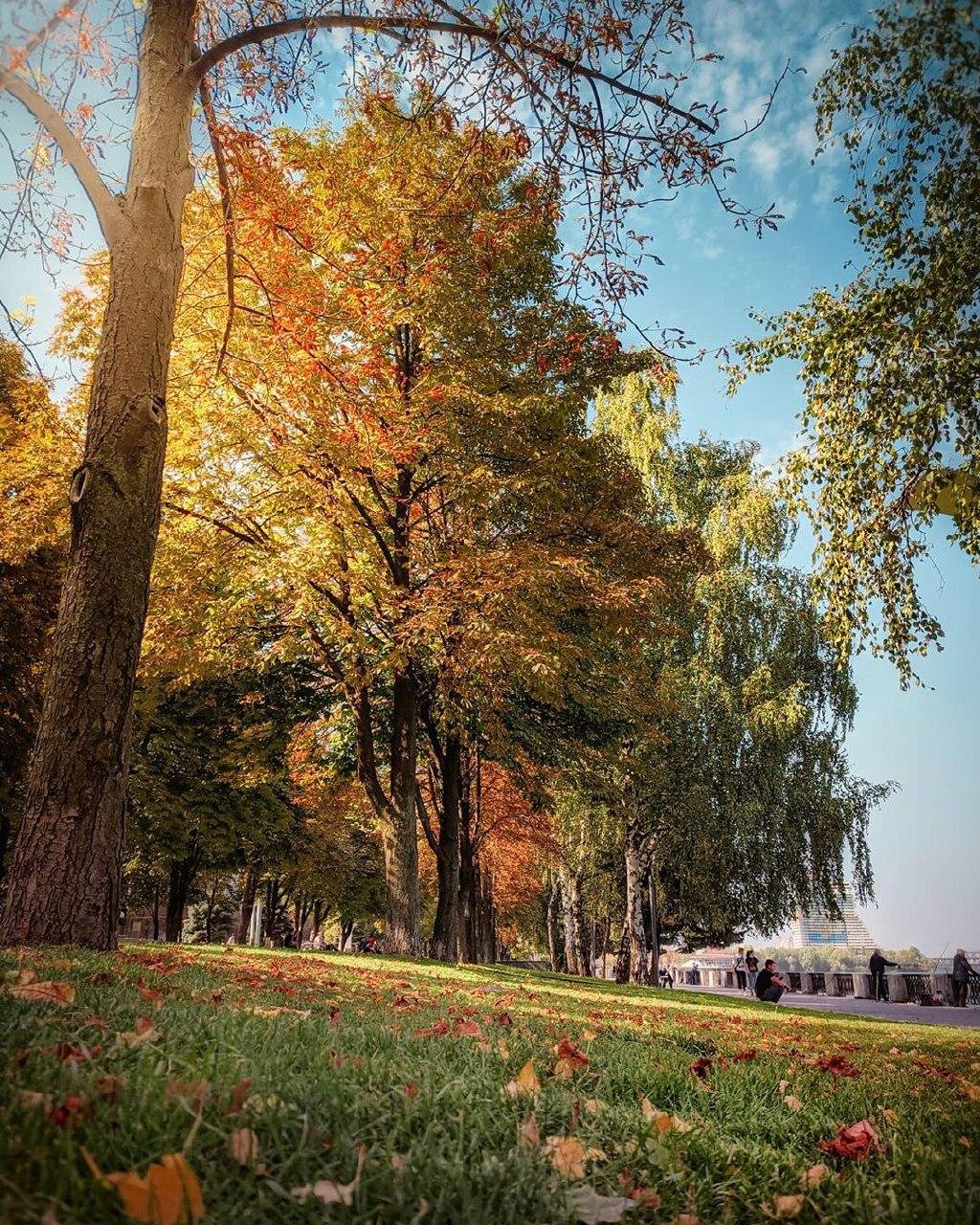 golovko_andrew_ golovko_andrew_