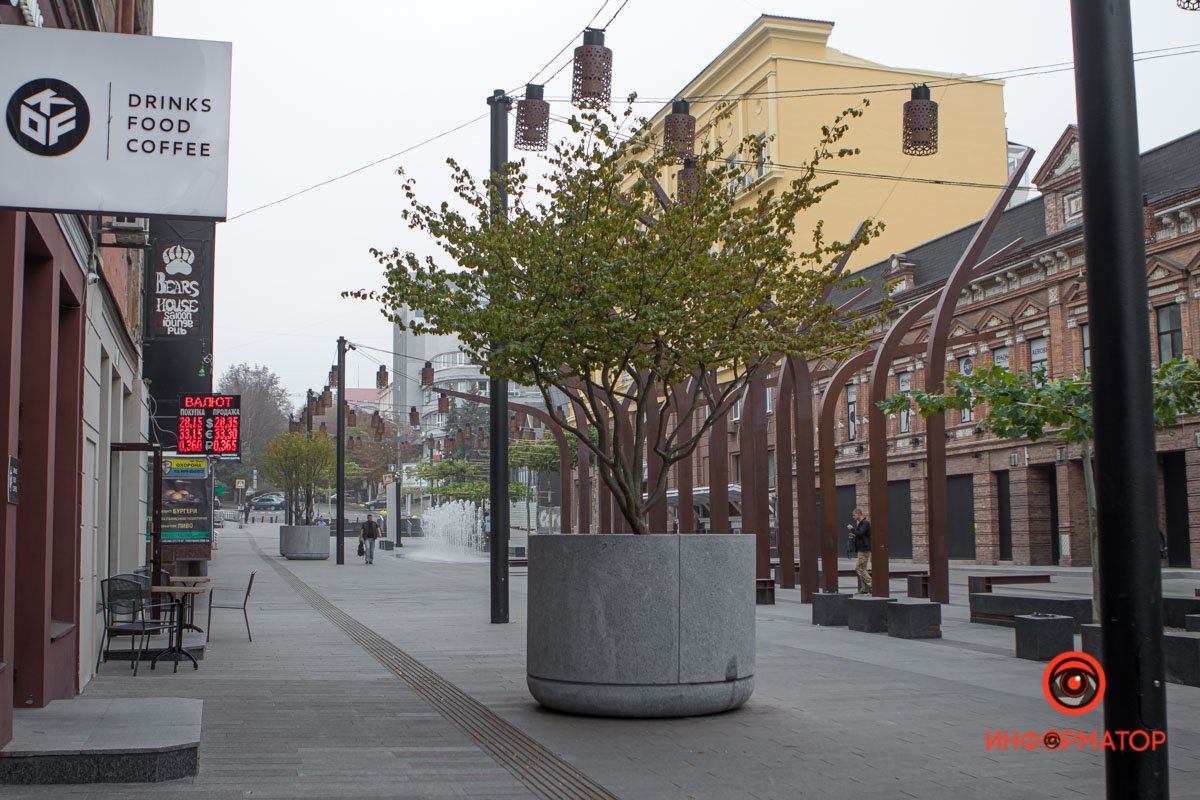 Еще деревья! Еще деревья!