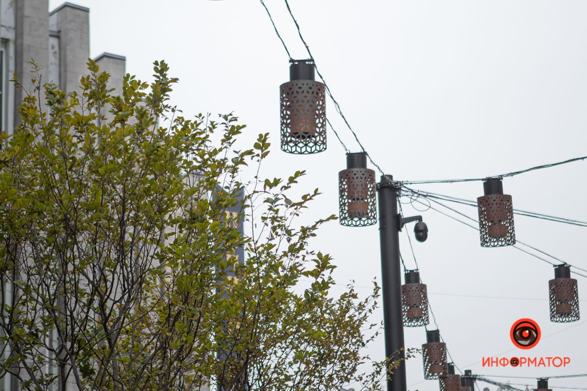 С деревьями всегда лучше С деревьями всегда лучше