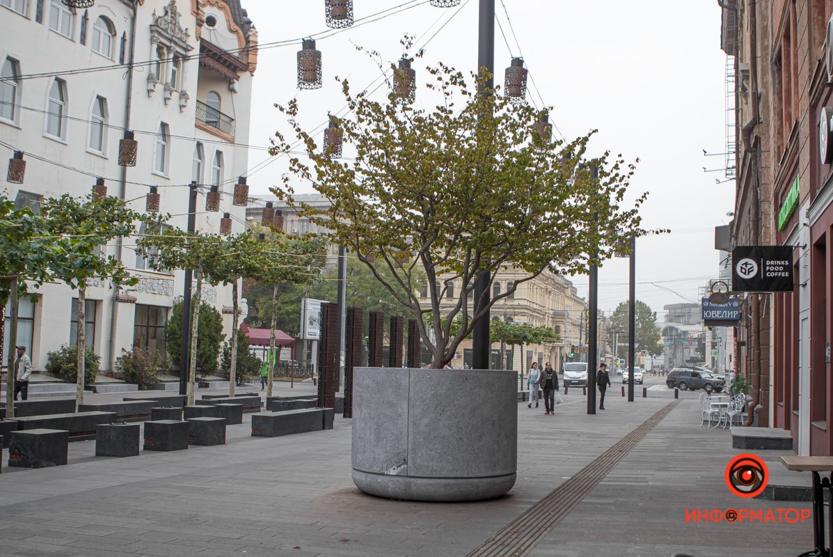 Закрытая корневая система Закрытая корневая система