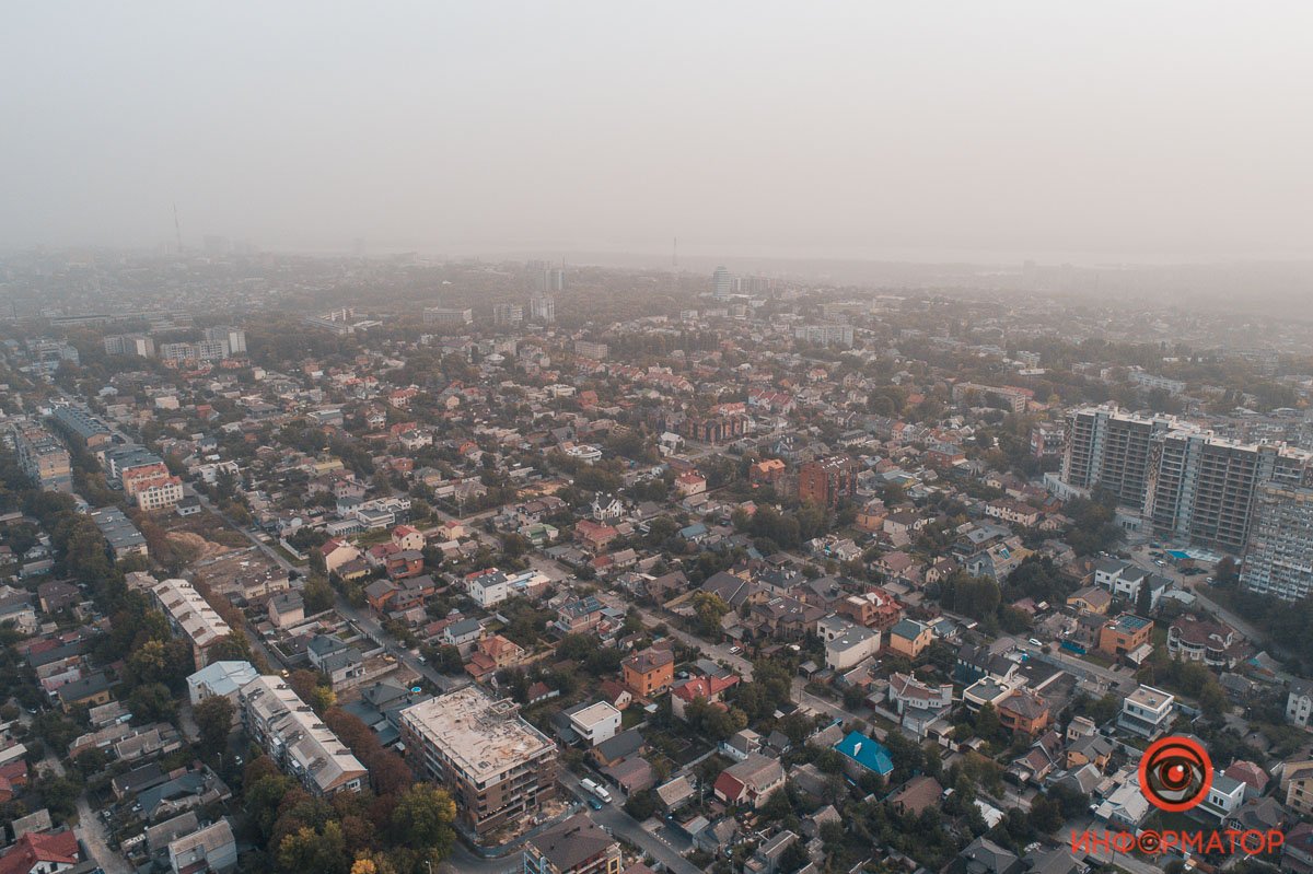 Муравейник