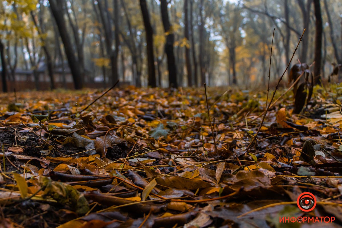 Мягкий ковер под ногами Мягкий ковер под ногами