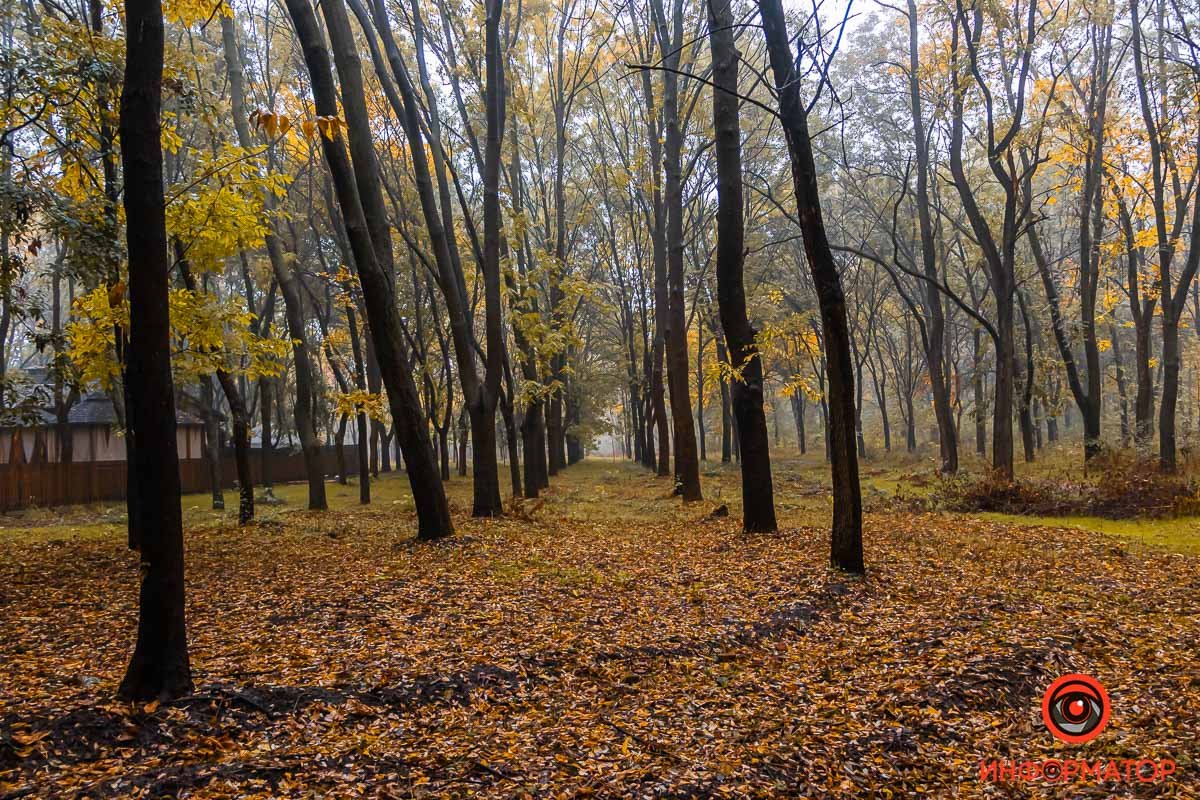 Здесь ты один Здесь ты один