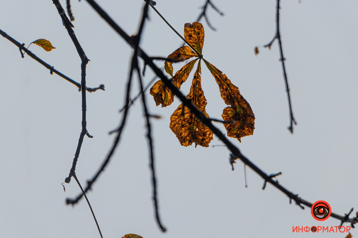 Держаться изо всех сил Держаться изо всех сил