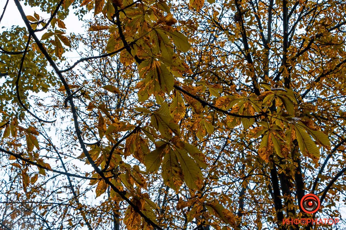 Чаще поднимайте голову вверх Чаще поднимайте голову вверх