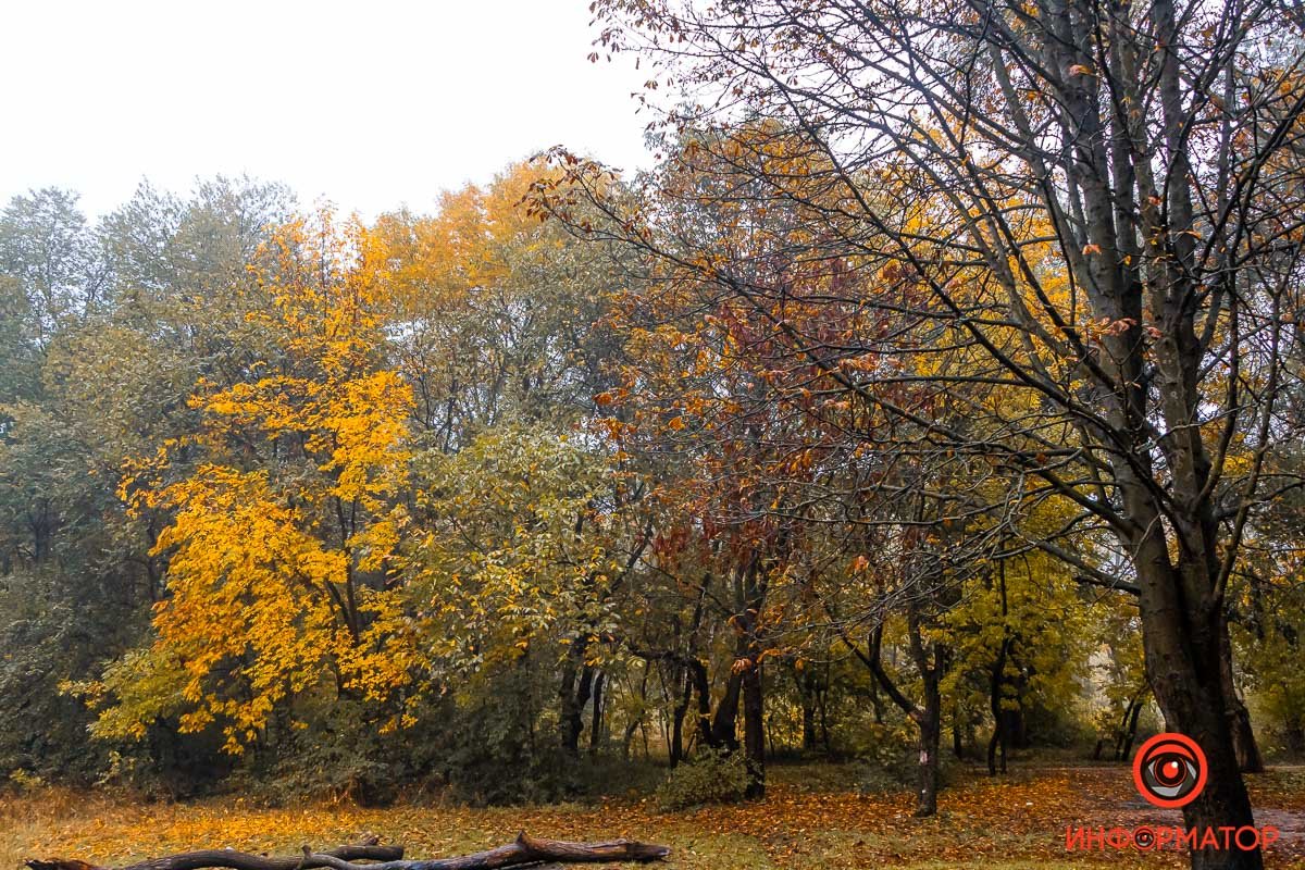 И оглядывайтесь по сторонам И оглядывайтесь по сторонам