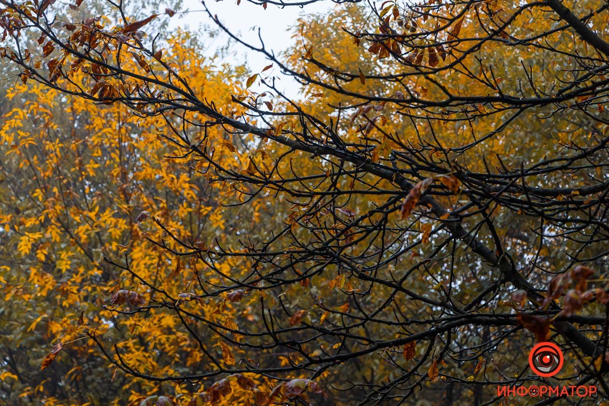 Насыщенная картина Насыщенная картина