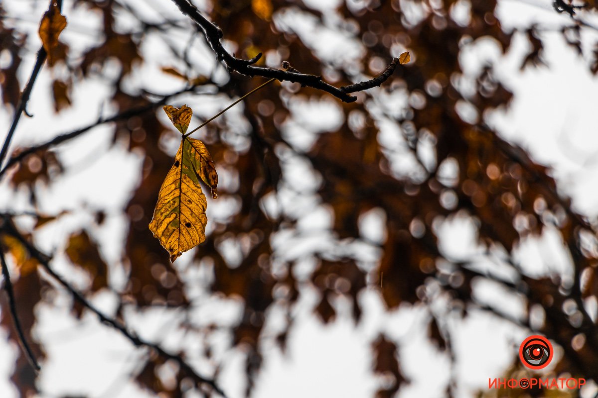 Детали Детали