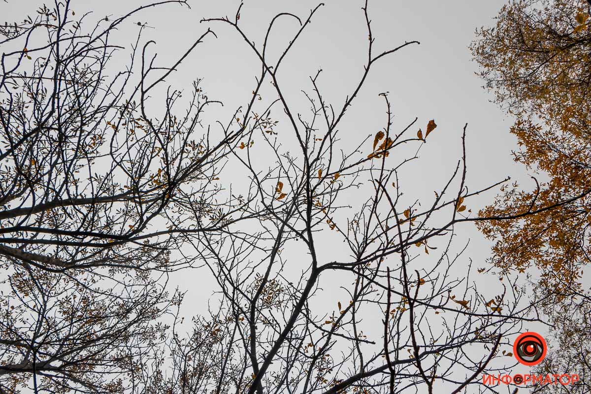 Где-то их нет совсем Где-то их нет совсем