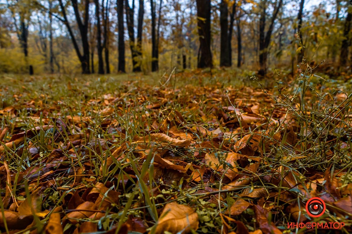 Замри. Смотри Замри. Смотри