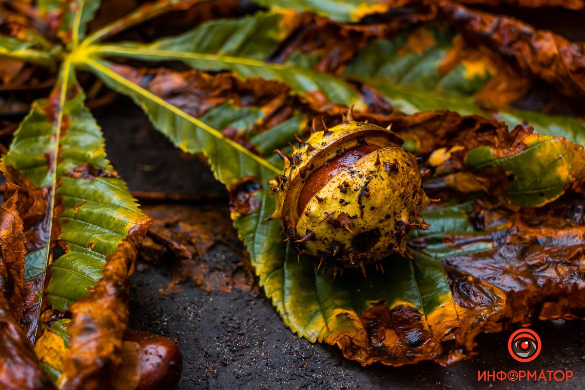 Сколько жизни в каждой мелочи! Сколько жизни в каждой мелочи!