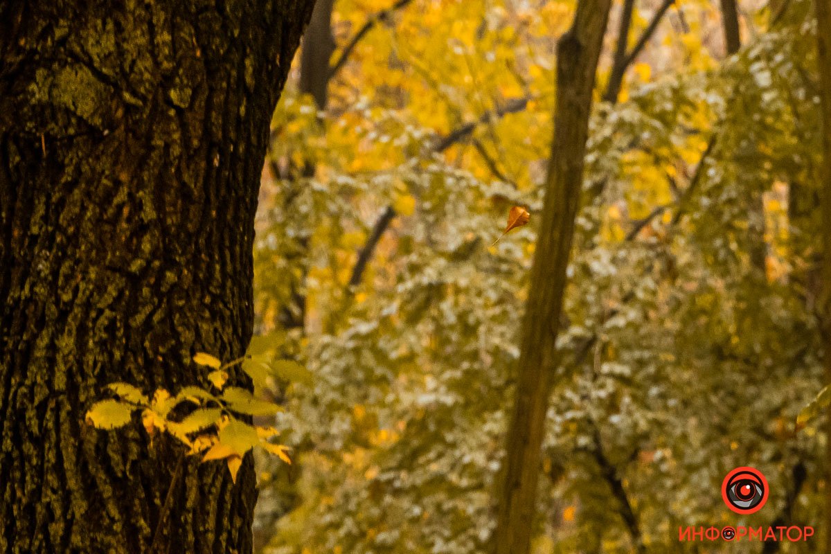 Все больше и больше красок Все больше и больше красок