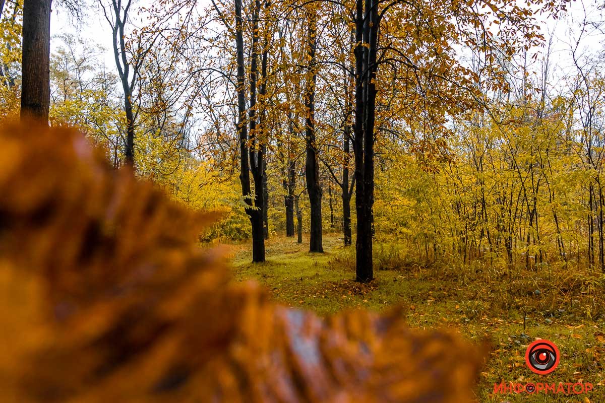 Попробуй посмотреть дальше собственного носа Попробуй посмотреть дальше собственного носа