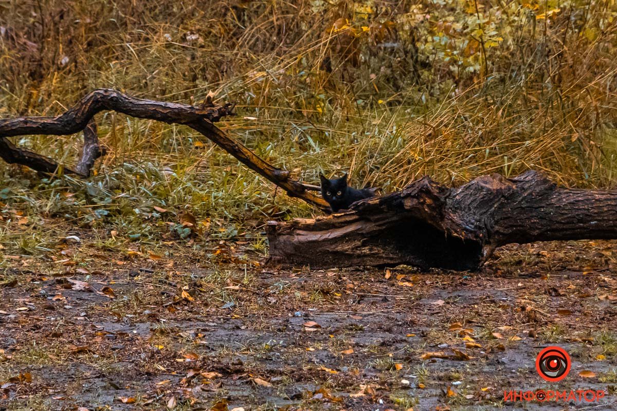 Здесь жизнь есть во всем Здесь жизнь есть во всем
