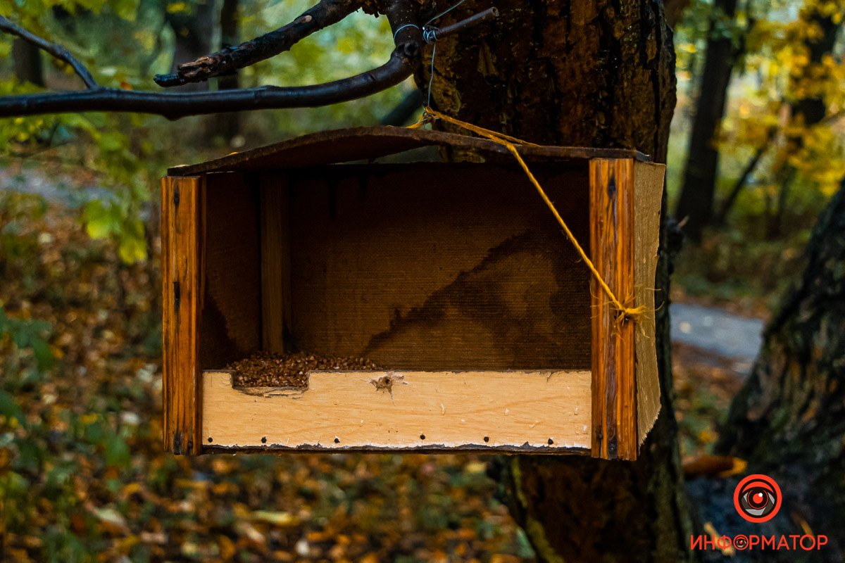 Отдельный мир Отдельный мир