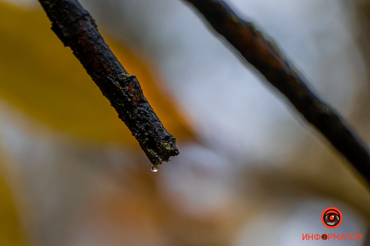 Осень - это не о грусти Осень - это не о грусти
