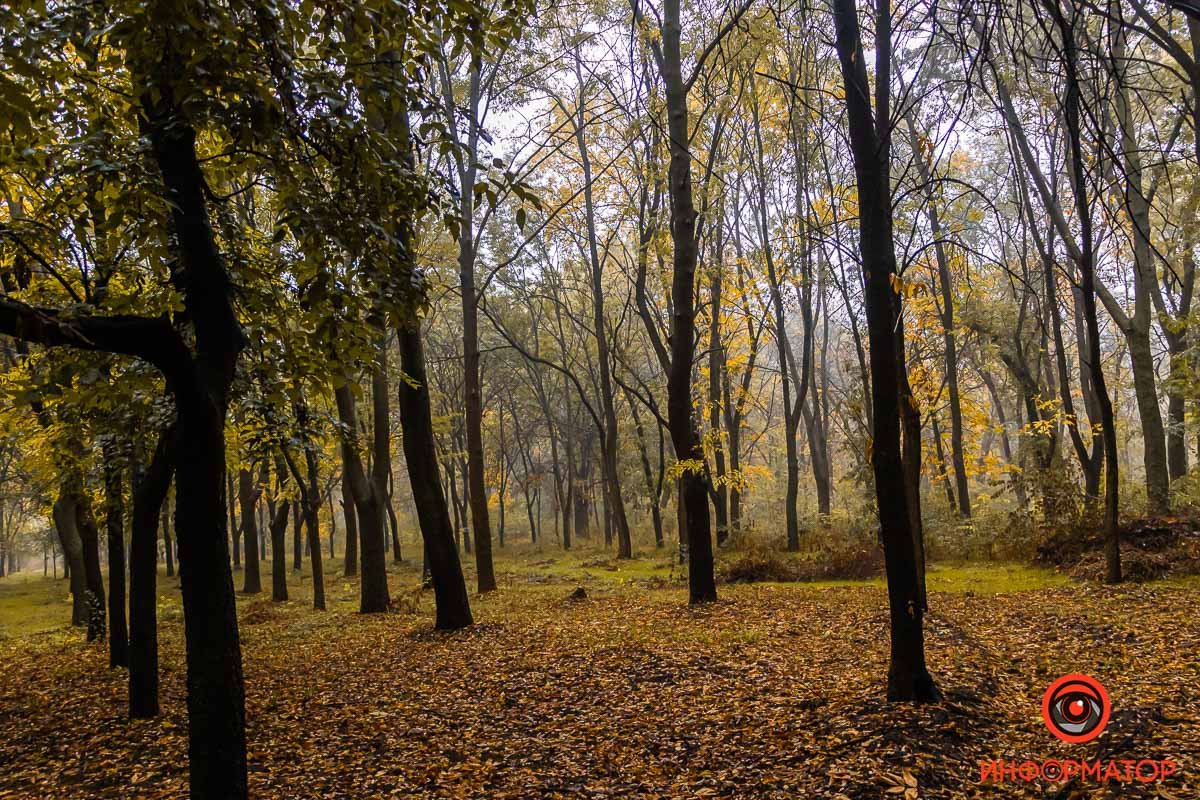 Осень - это о жизни Осень - это о жизни