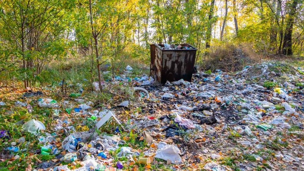 Косу на Малиновского завалили мусором Косу на Малиновского завалили мусором