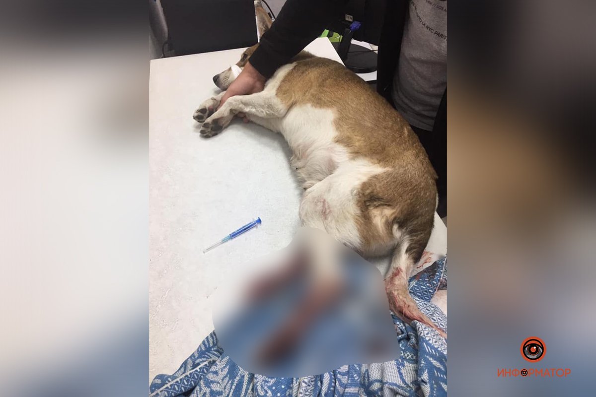 Срочно нужна помощь Срочно нужна помощь