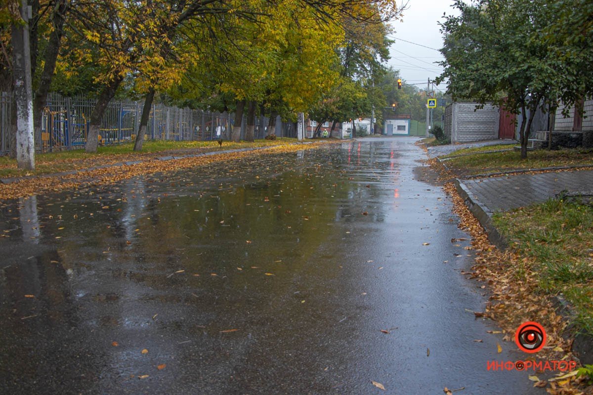 Выборы в Днепре: что избиратели думают о работе депутата Маковцева 10