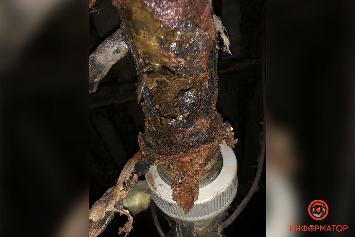 Та самая "виновница" потопа Та самая "виновница" потопа