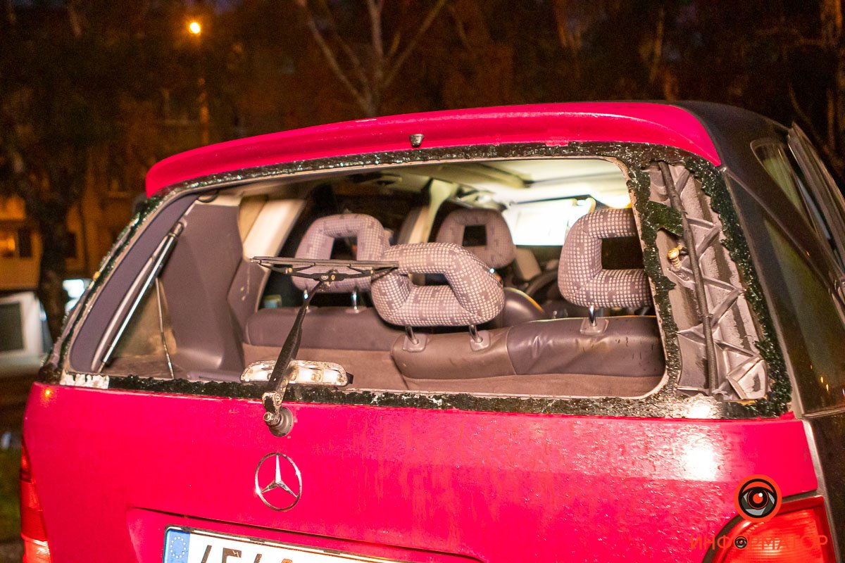 В салоне был и второй пассажир В салоне был и второй пассажир