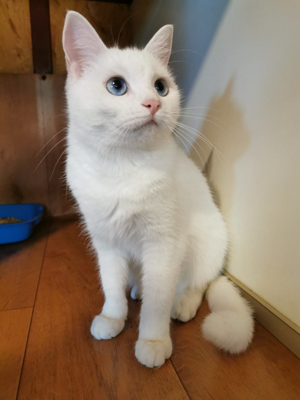 В этих глазах целая Вселенная