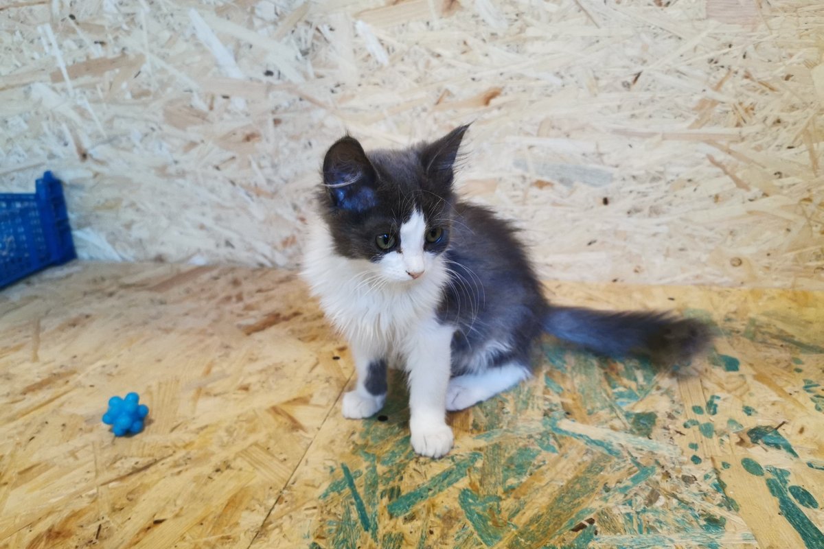 Облачко нежности