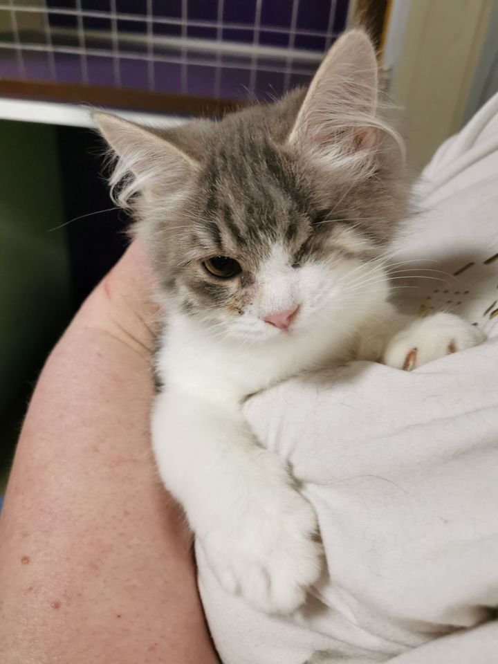 Очаровательный одноглазик