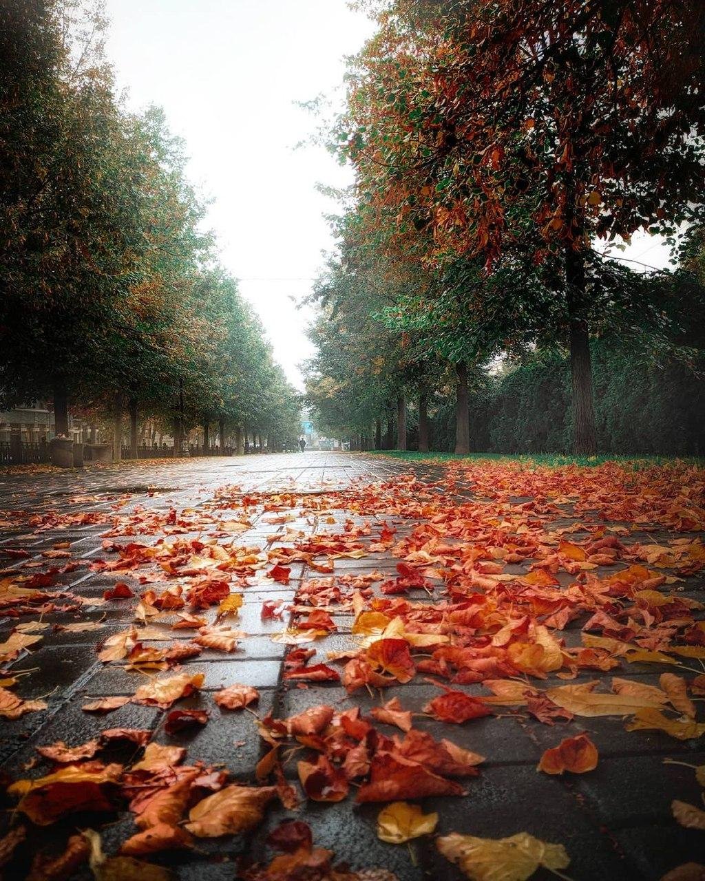 Фото: @golovko_andrew_