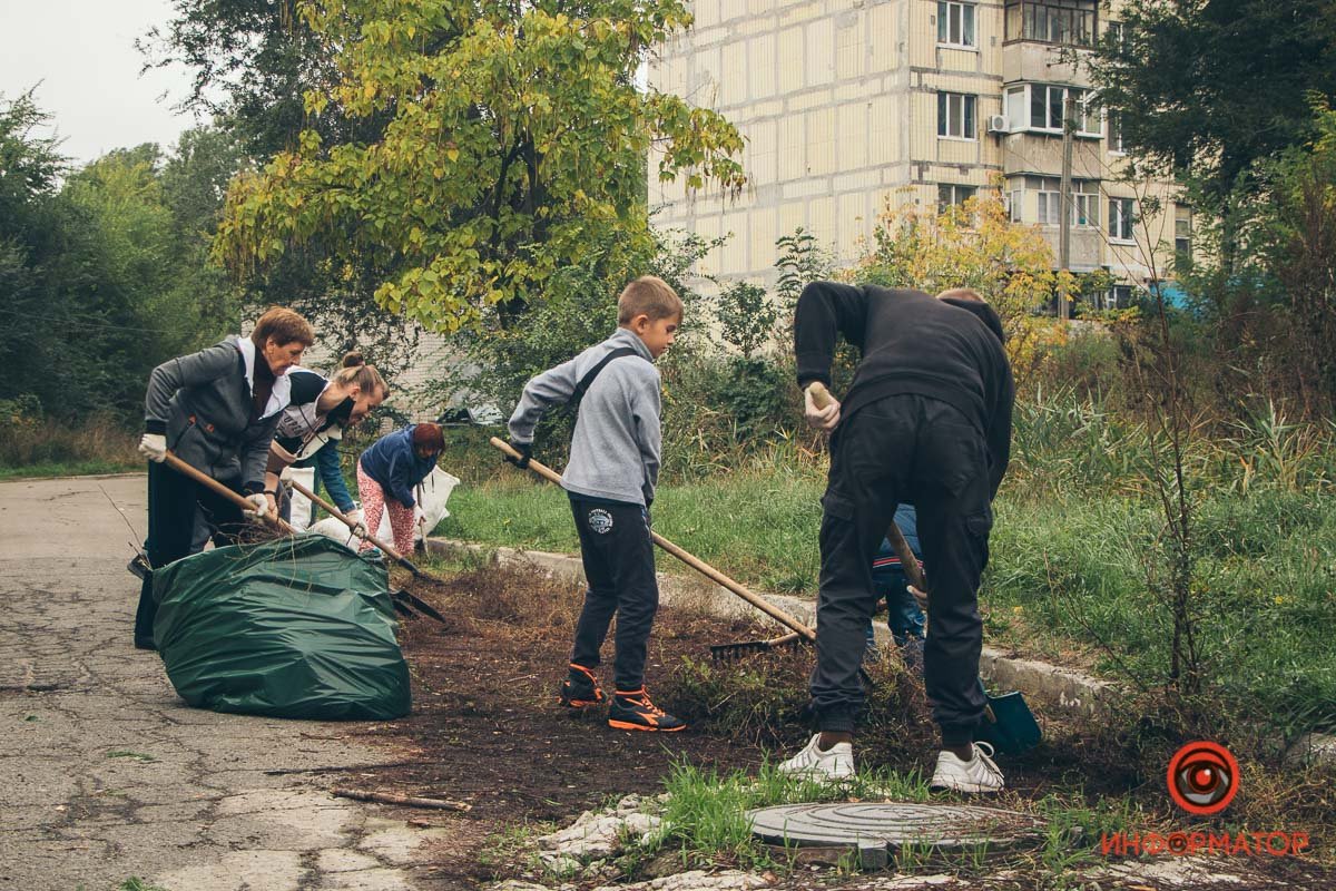 Если бы посадка была облагорожена и освещена Если бы посадка была облагорожена и освещена