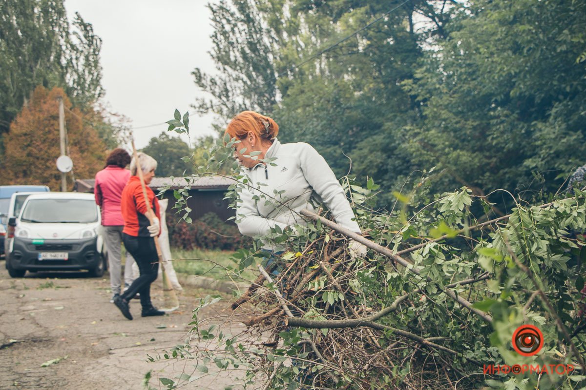 Все в зарослях и без наружного освещения Все в зарослях и без наружного освещения