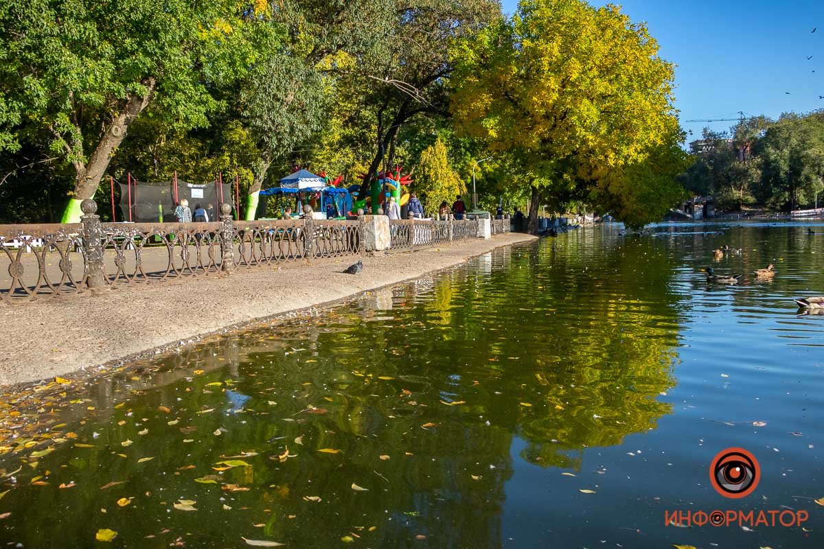 Желтые листья красиво отражаются и падают в воду Желтые листья красиво отражаются и падают в воду