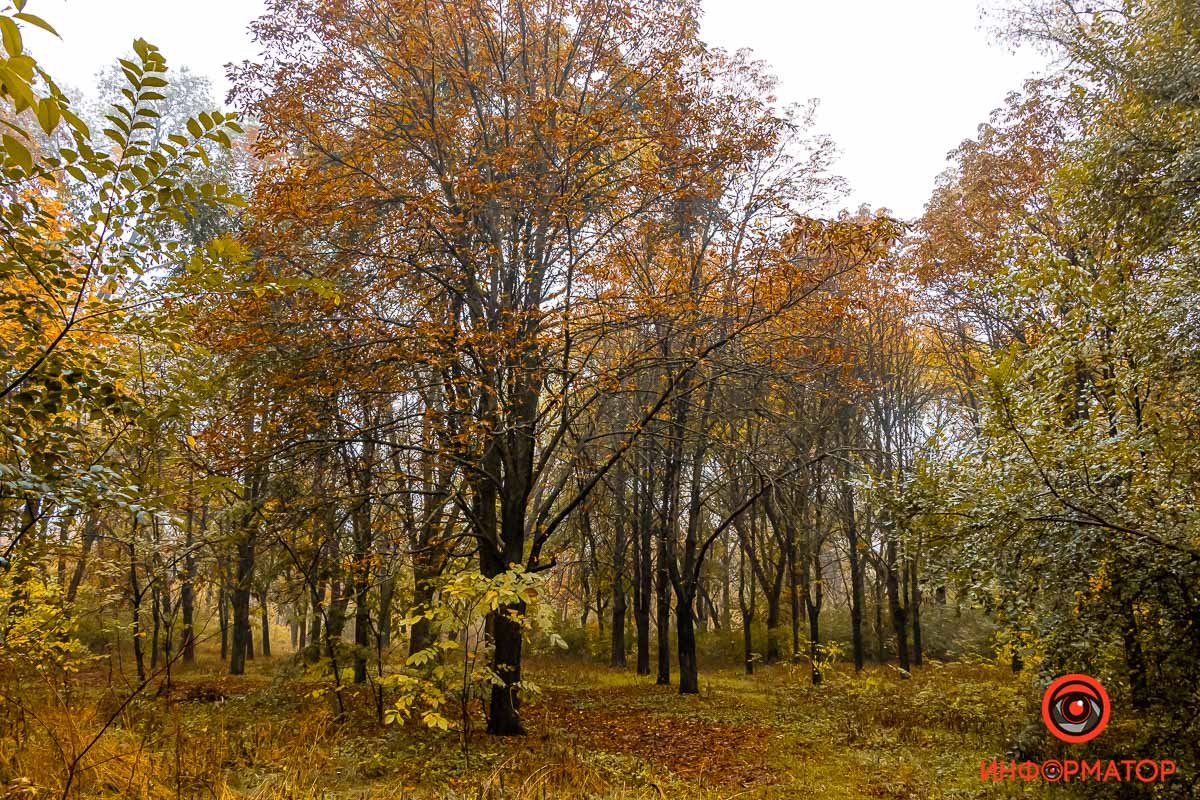 Фото: Дмитрий Федоров Фото: Дмитрий Федоров