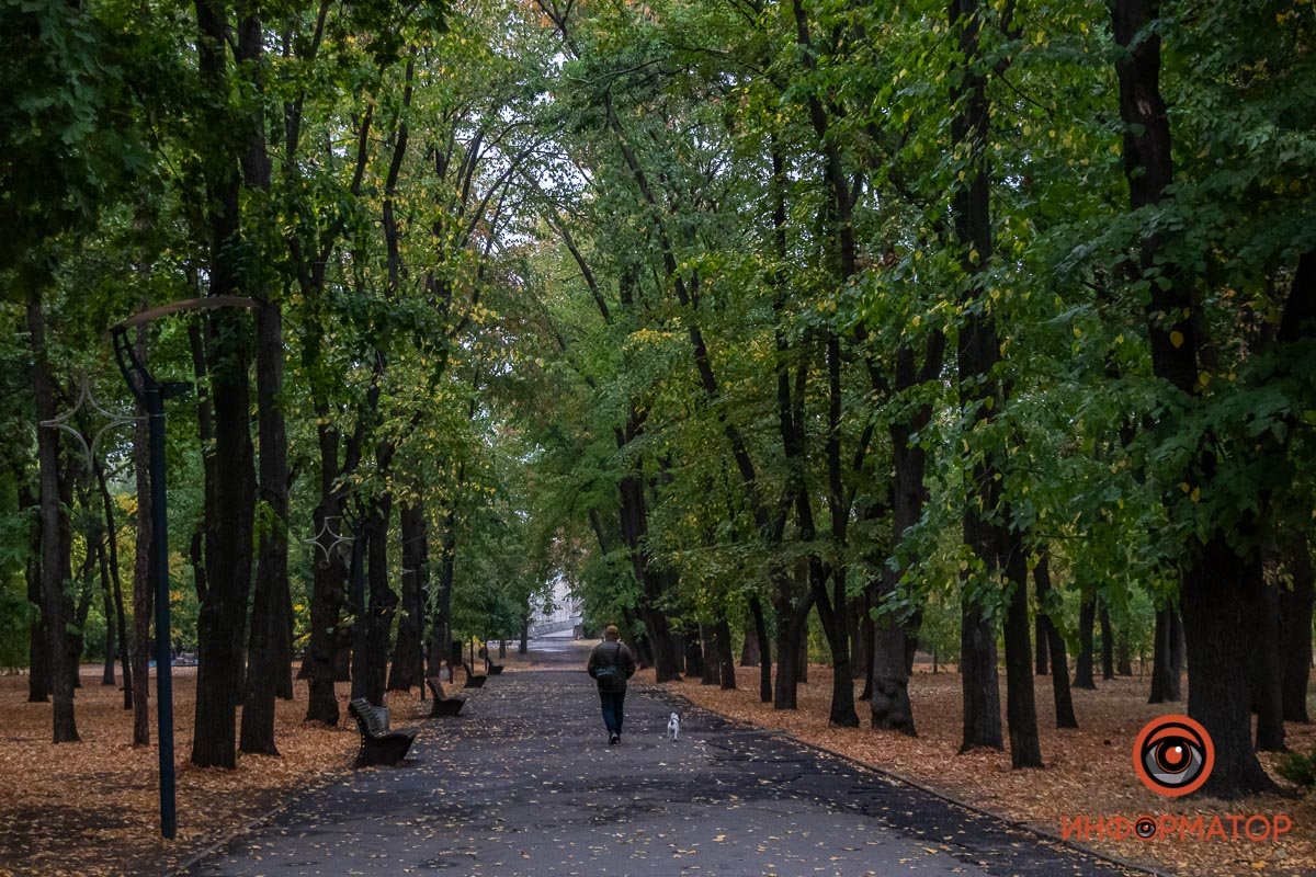 Прогулки под высокими деревьями хороши, когда нет шквального ветра Прогулки под высокими деревьями хороши, когда нет шквального ветра