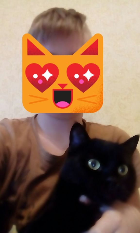 В Днепре пропало много животных: помогите найти 2