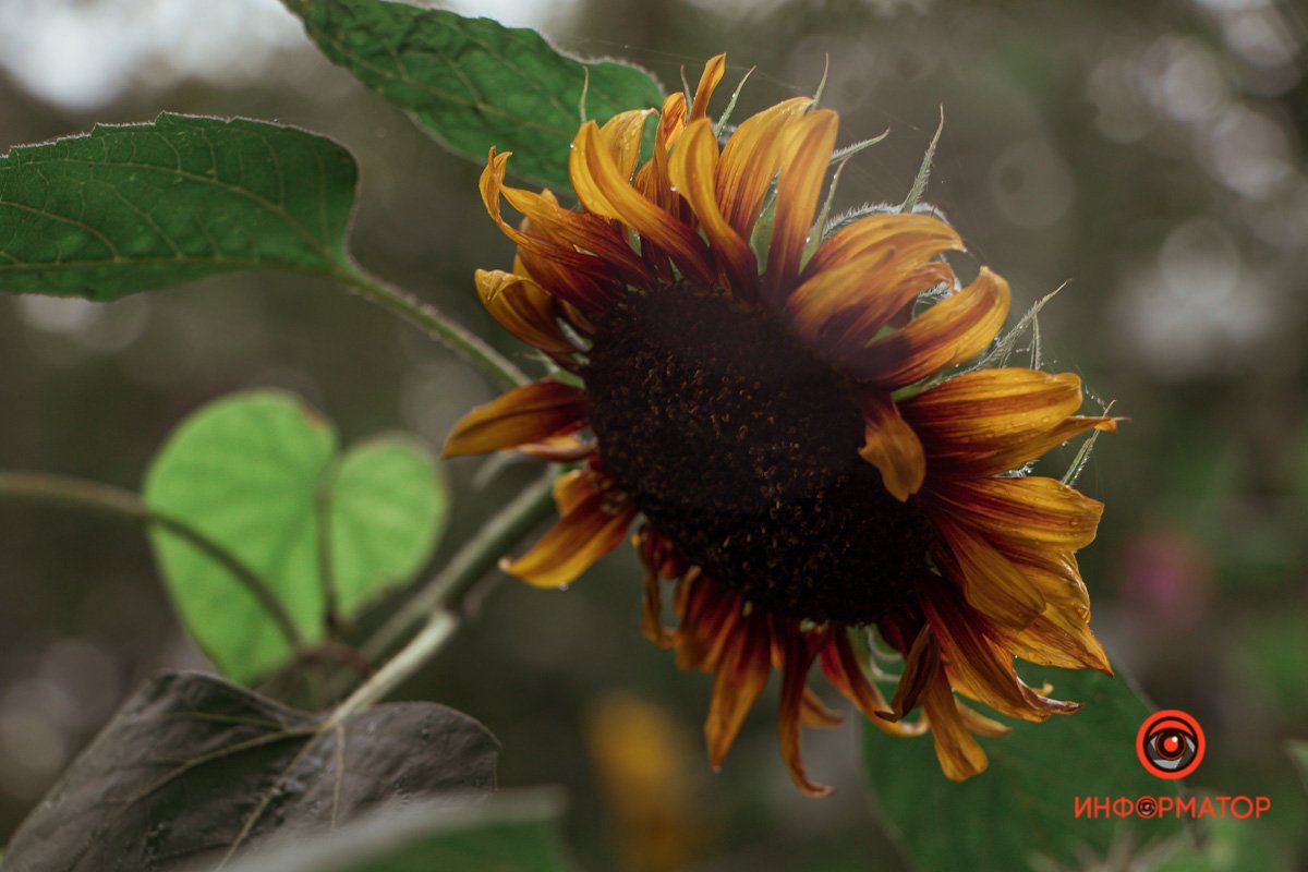 19 октября: куда пойти сегодня 3