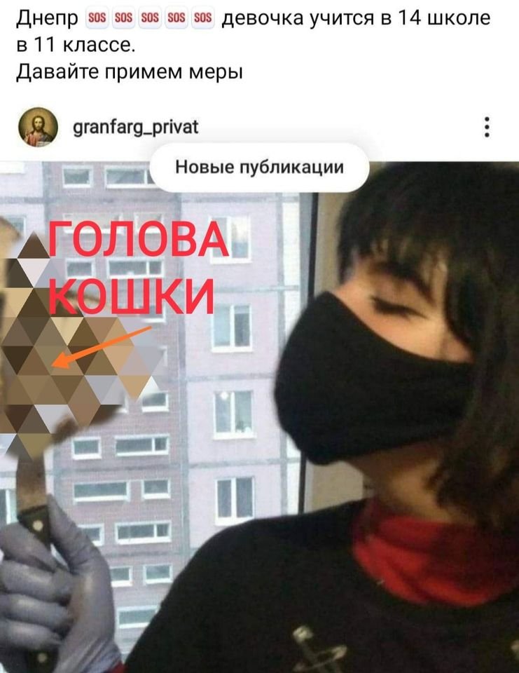 15-летняя девочка выставила в Instagram фотографию, где держит на ноже голову кота 15-летняя девочка выставила в Instagram фотографию, где держит на ноже голову кота