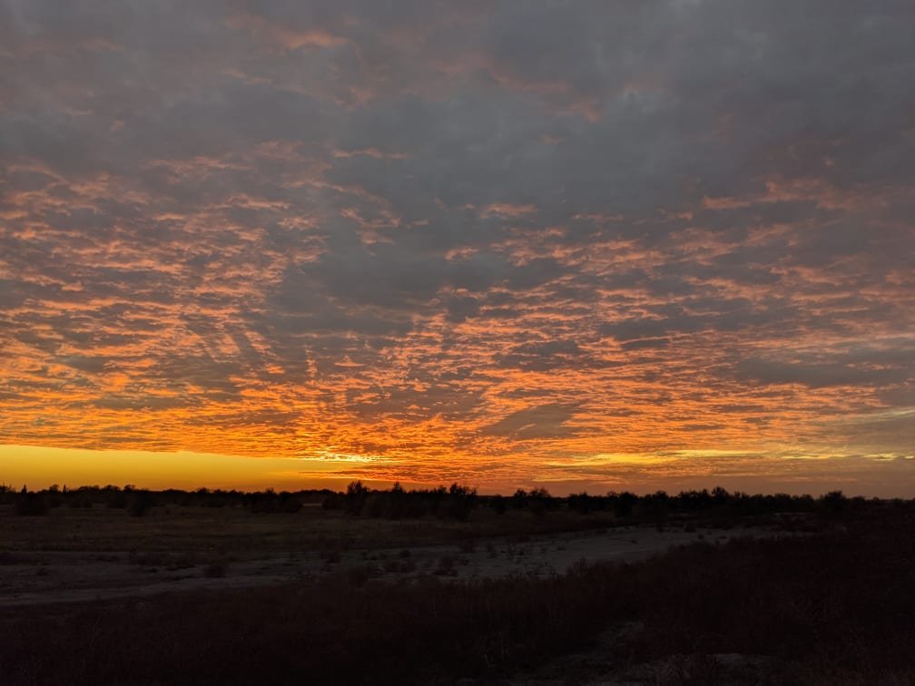 Фото: Владимир Колисниченко 