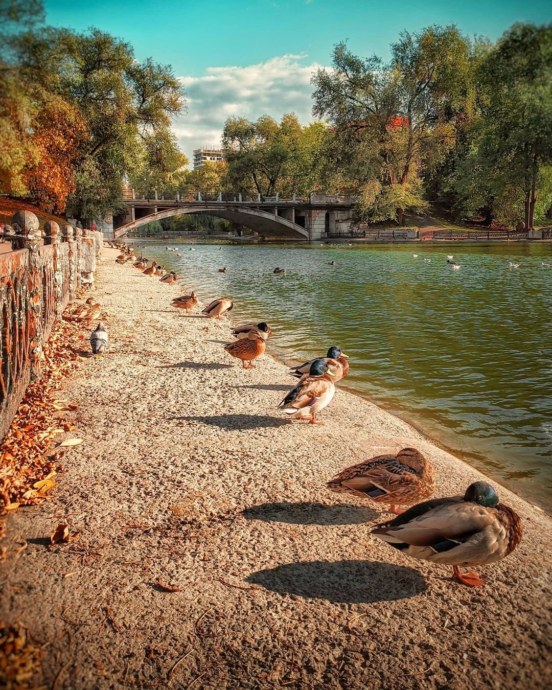 Фото: @golovko_andrew_