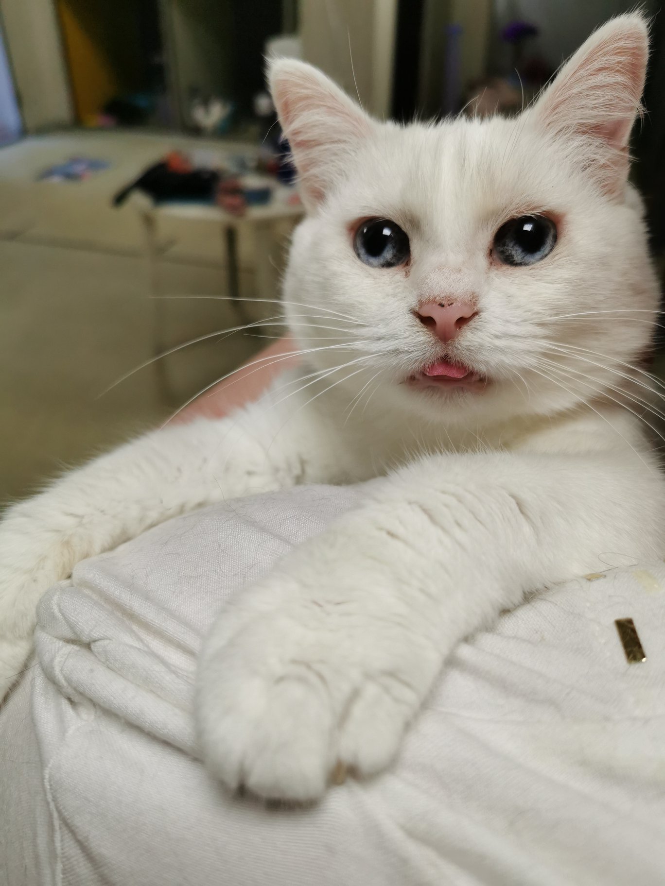 Посмотрите в эти бездонные глазки