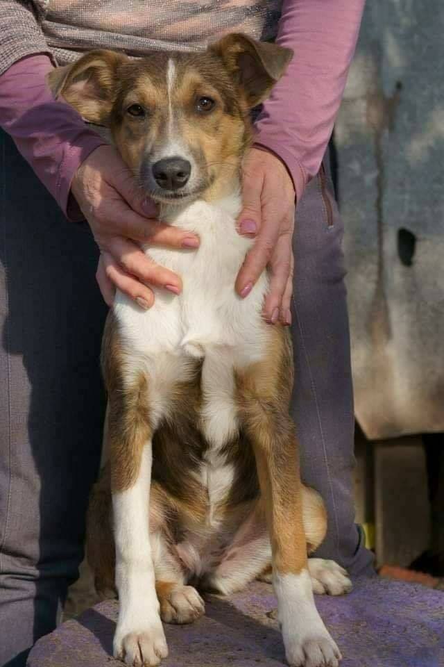 Ассоль нуждается в семье