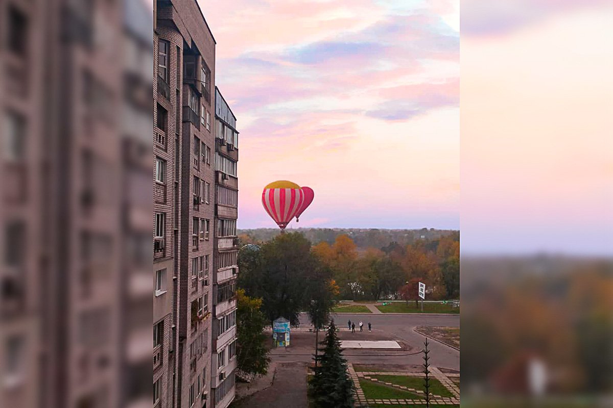 Хотелось стоять и бесконечно наблюдать за ними Хотелось стоять и бесконечно наблюдать за ними