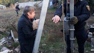 Кот в целости и сохранности Кот в целости и сохранности